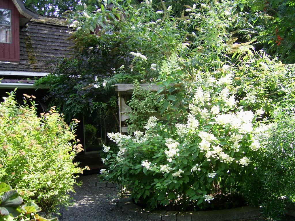Garden House Hotel Courtenay Eksteriør billede